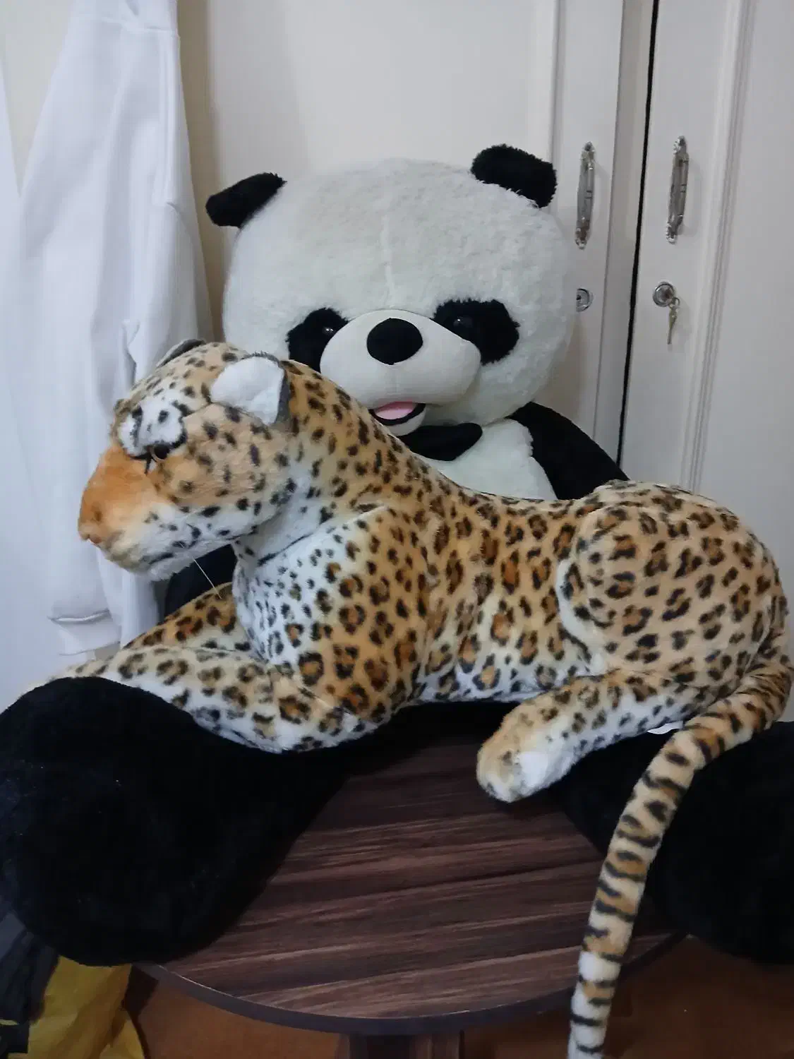 عروسک|اسباببازی|رشت, لاکانی|دیوار