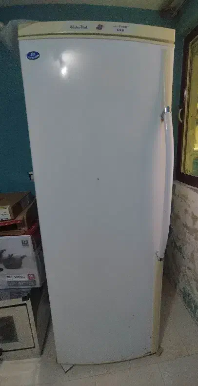 فریزر|یخچال و فریزر|نوشهر, |دیوار