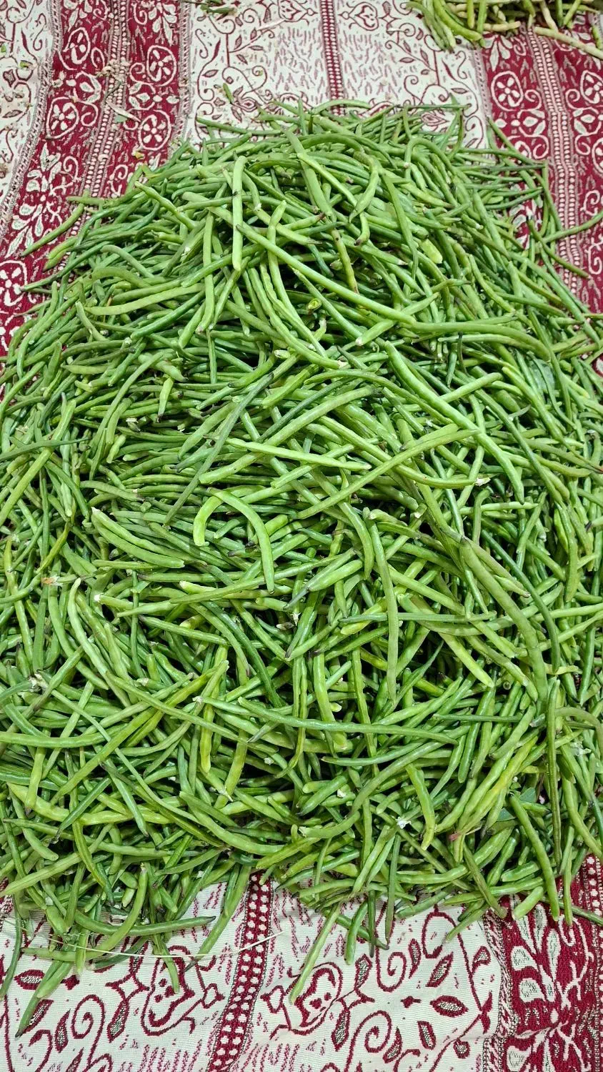 لوبیاقصری یالوبیاچشم بلبلی|خوردنی و آشامیدنی|قصرشیرین, |دیوار