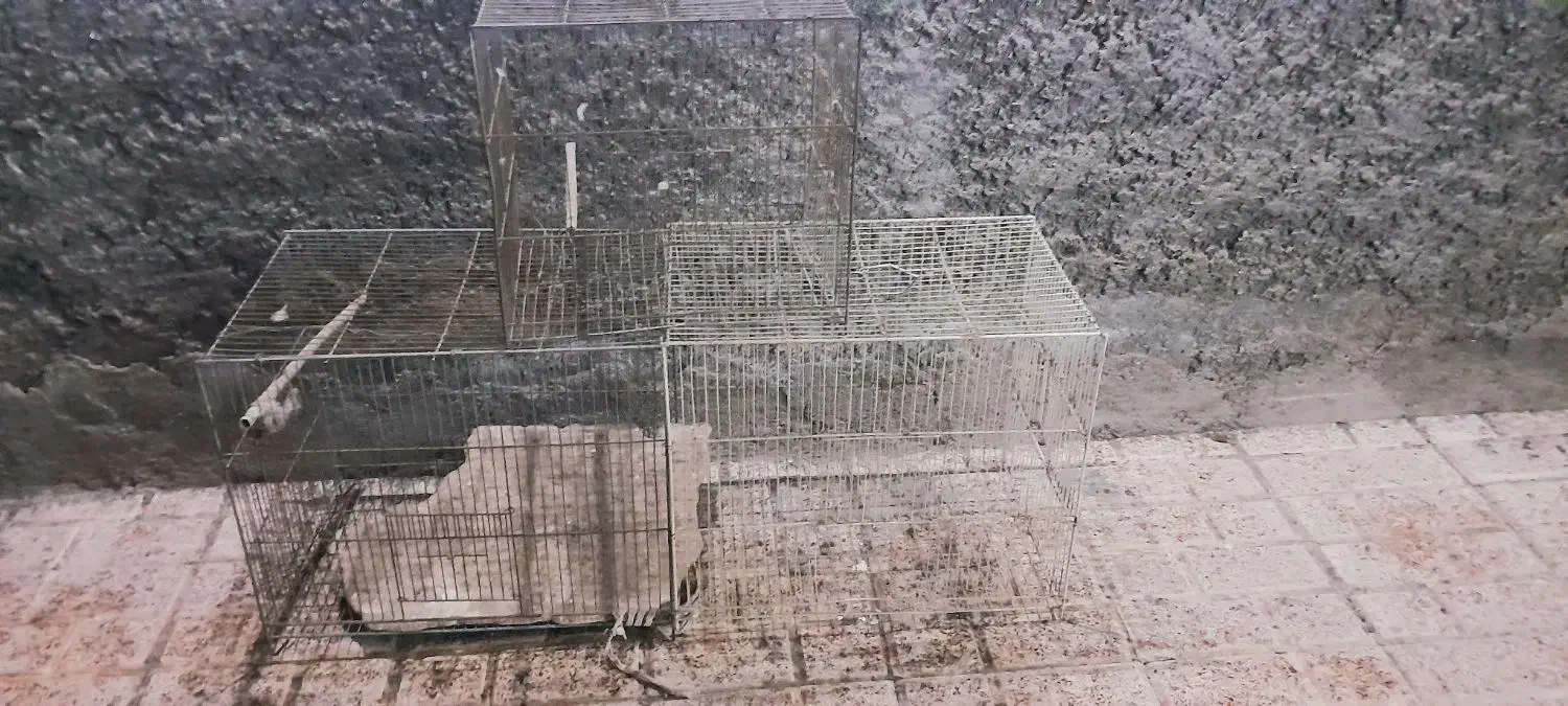 قفس پرنده سالم|لوازم جانبی حیوانات|مشهد, محمدآباد|دیوار