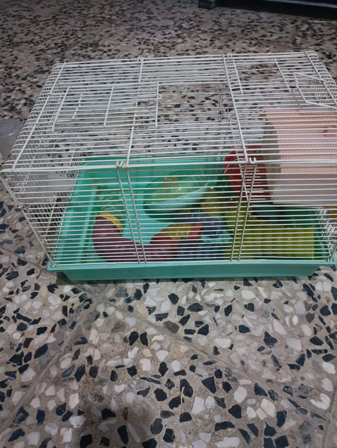 یک عدد قفس پرنده|لوازم جانبی حیوانات|کرمانشاه, |دیوار