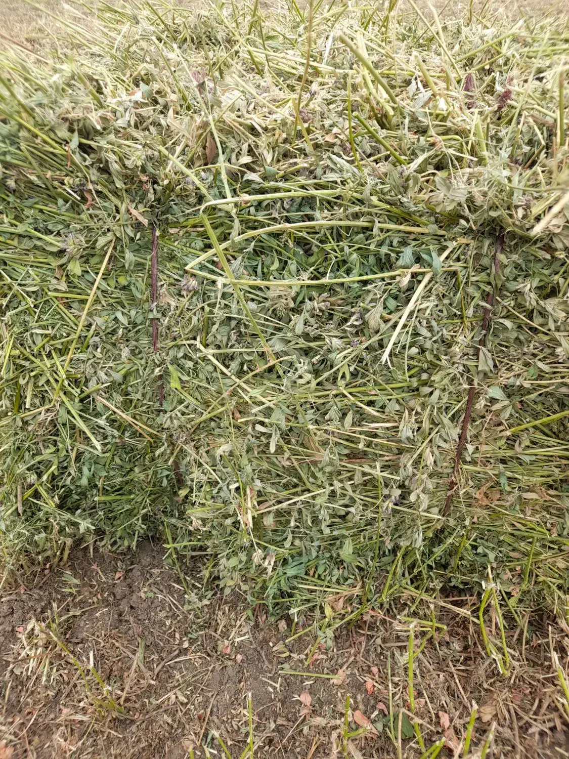 یونجه خشک بسته بندی|حیوانات مزرعه|بیله سوار, |دیوار