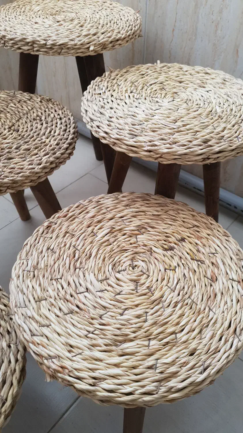 سه‌پایه گلدان|گل و گیاه طبیعی|پاکدشت, پاکدشت (مامازند)|دیوار