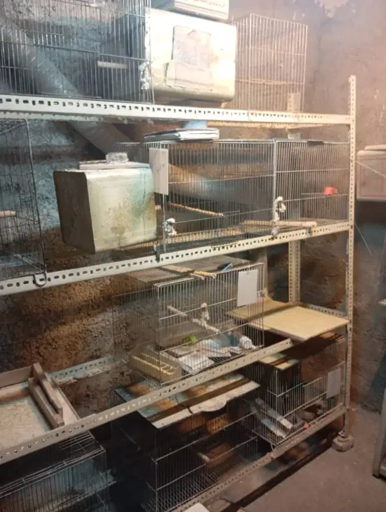 قفس بزرگ (جفت کن قناری) و قفس بزرگ طولی سانان|لوازم جانبی حیوانات|تهران, علم و صنعت|دیوار