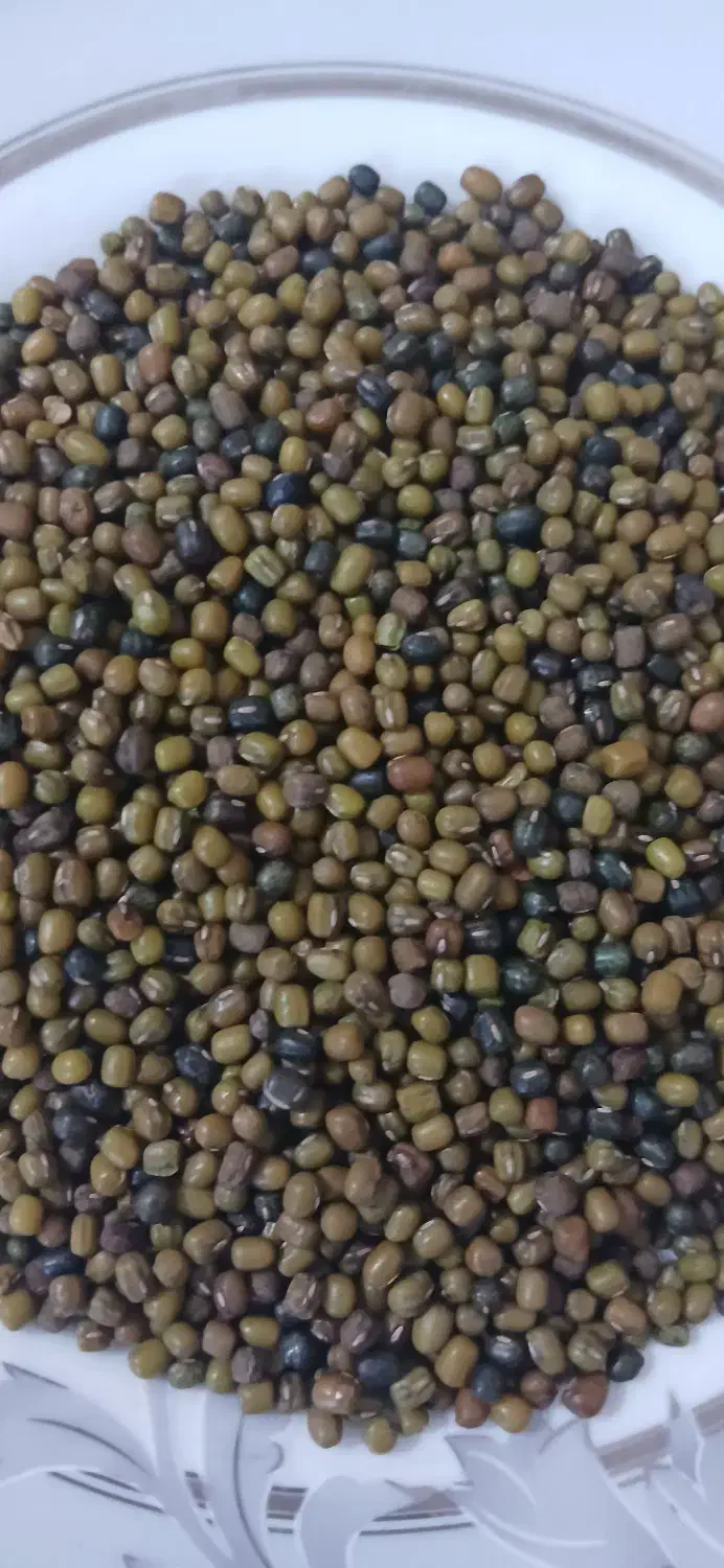 ماش محلی به شرط پخت|خوردنی و آشامیدنی|فیروزآباد (فارس), |دیوار