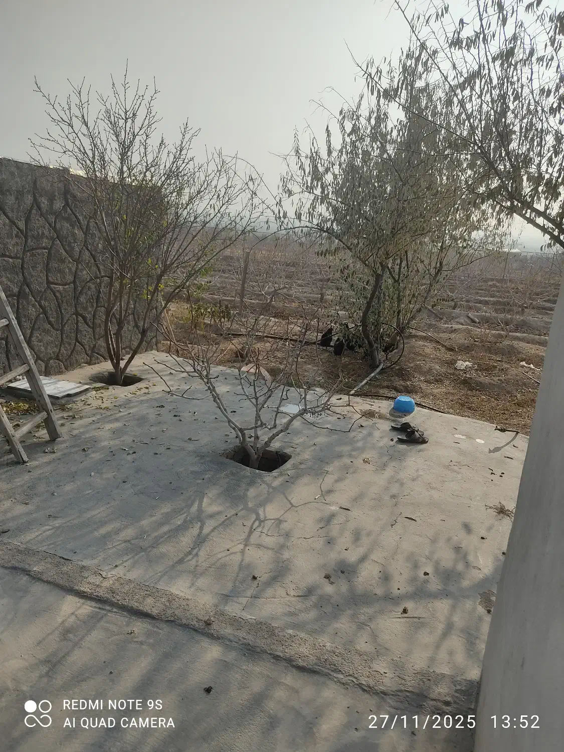 فروش باغ پسته|فروش خانه و ویلا|یامچی, |دیوار