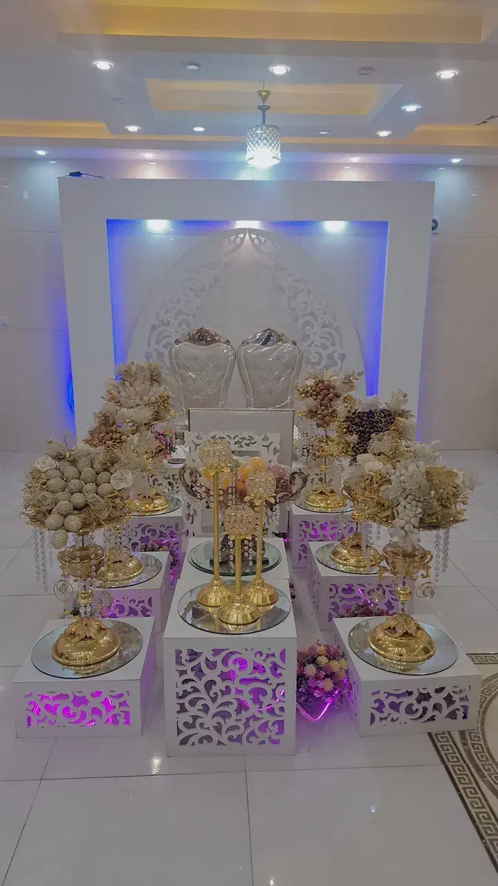 عکاسی وتصویربرداری سونی fpv رونین|خدمات پذیرایی، مراسم|صفادشت, |دیوار