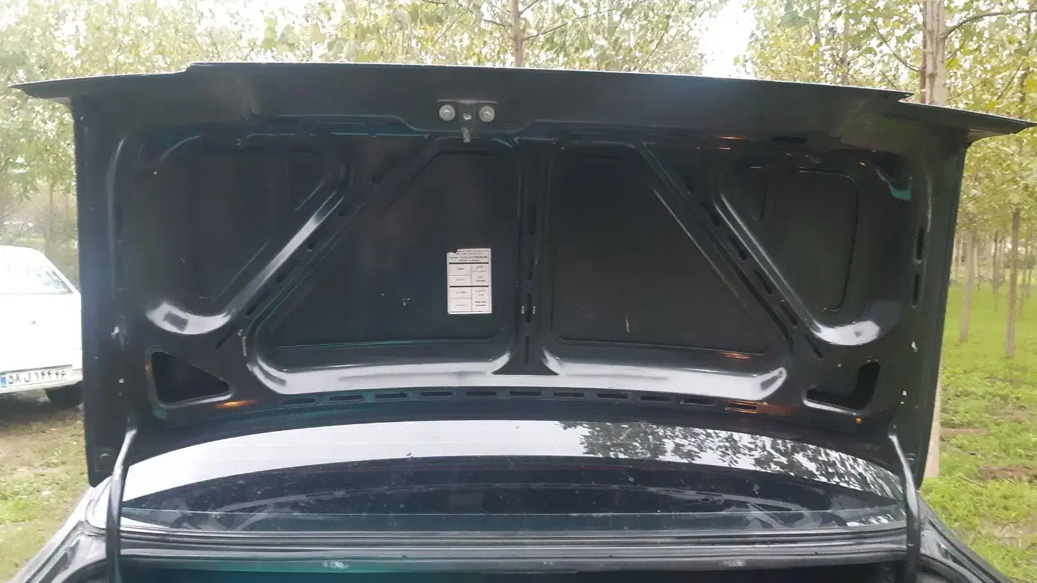 405 لاکاغذی|خودرو سواری و وانت|رشت, منظریه|دیوار