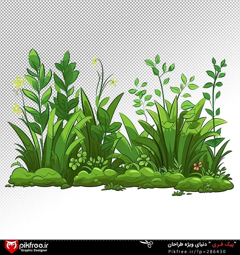 کاکتوس و گل|گل و گیاه طبیعی|شاهین دژ, |دیوار