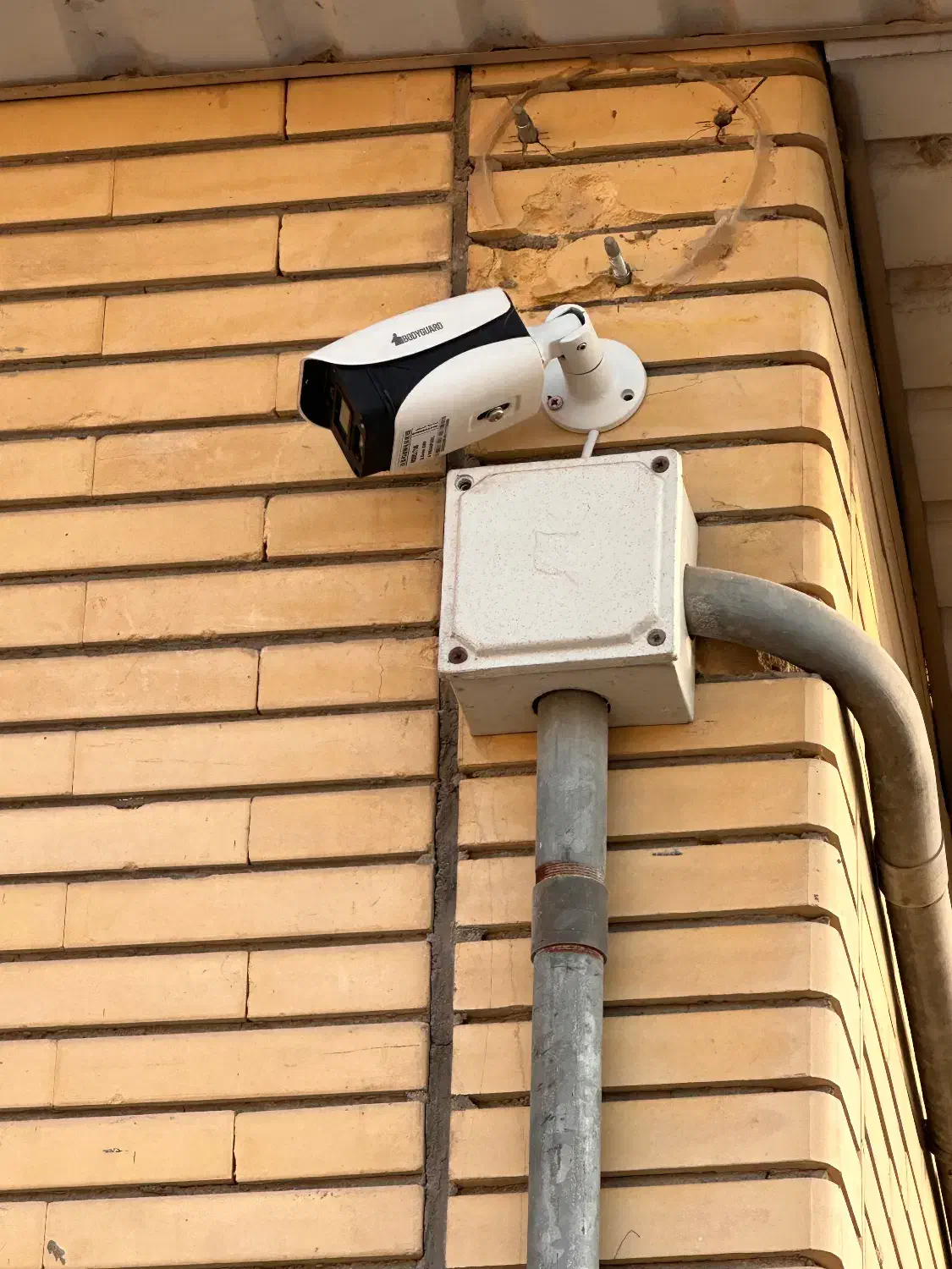 پخش و نصب دوربین مداربسته|دوربین مداربسته|نور, |دیوار