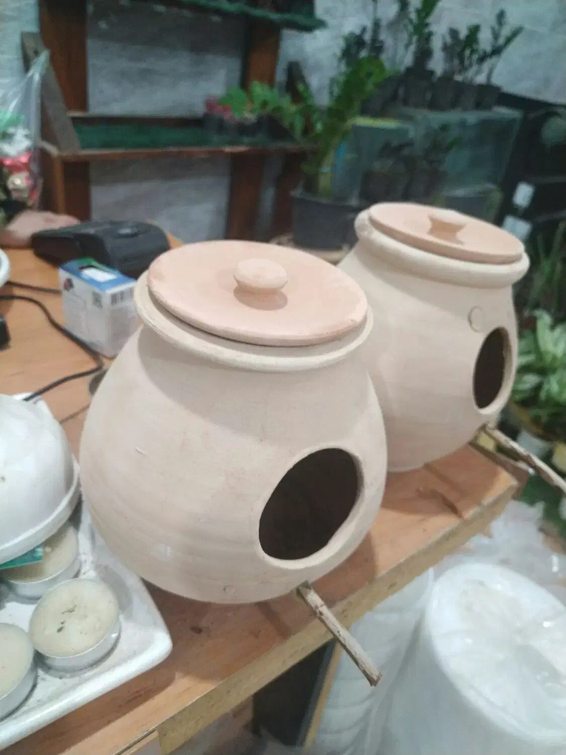 لونه پرنده|لوازم جانبی حیوانات|بندرعباس, |دیوار