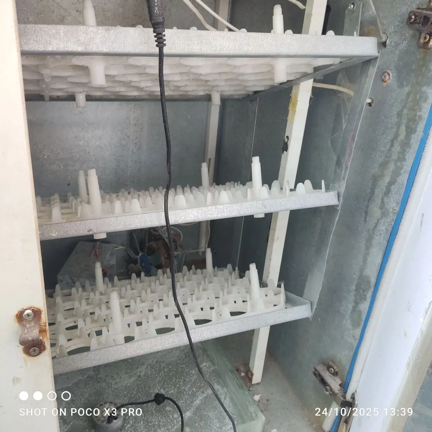 دستگاه جوجه کشی نیاز ب تعمیر|لوازم جانبی حیوانات|جهرم, |دیوار