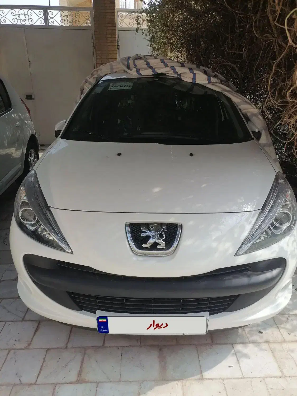 فروش خودرو|خودرو سواری و وانت|رفسنجان, |دیوار