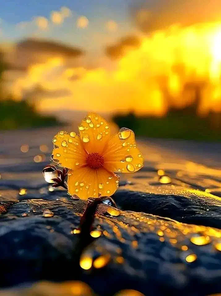 عکاسی وفیلمبرداری|خدمات پذیرایی، مراسم|اردبیل, |دیوار