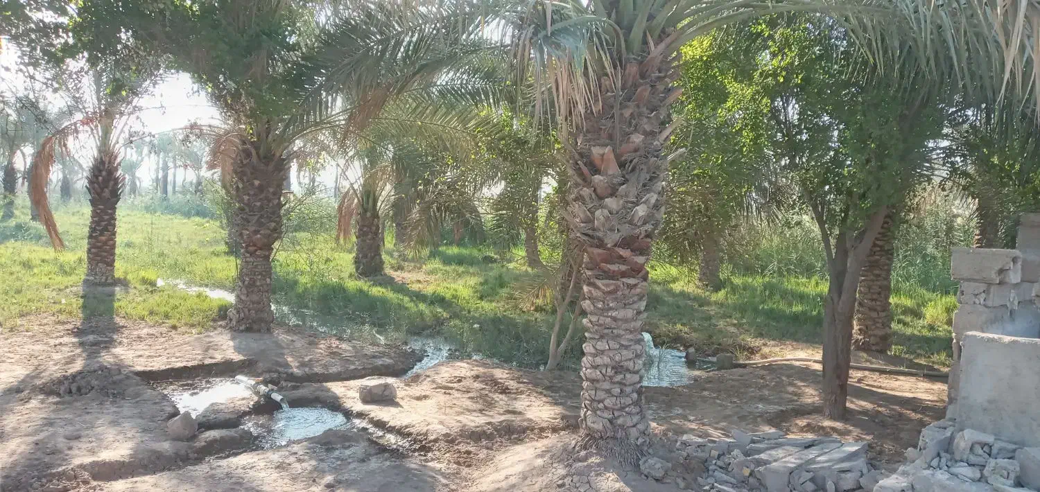 زمین کشاورزی مسکونی|فروش دفتر صنعتی، کشاورزی، تجاری|آبادان, |دیوار