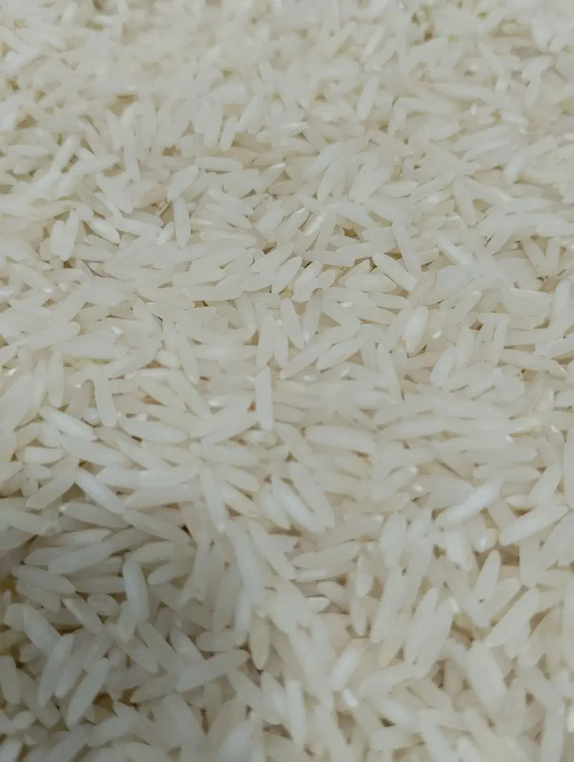 برنج هاشمی معطر درجه1|خوردنی و آشامیدنی|اهر, |دیوار