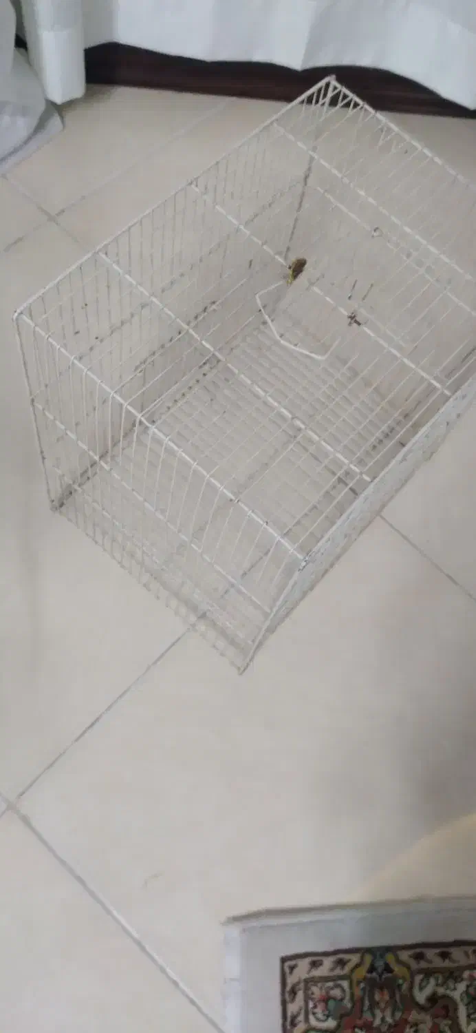 قفس|لوازم جانبی حیوانات|مشهد, شهرک لشکر (شهرک غرب)|دیوار