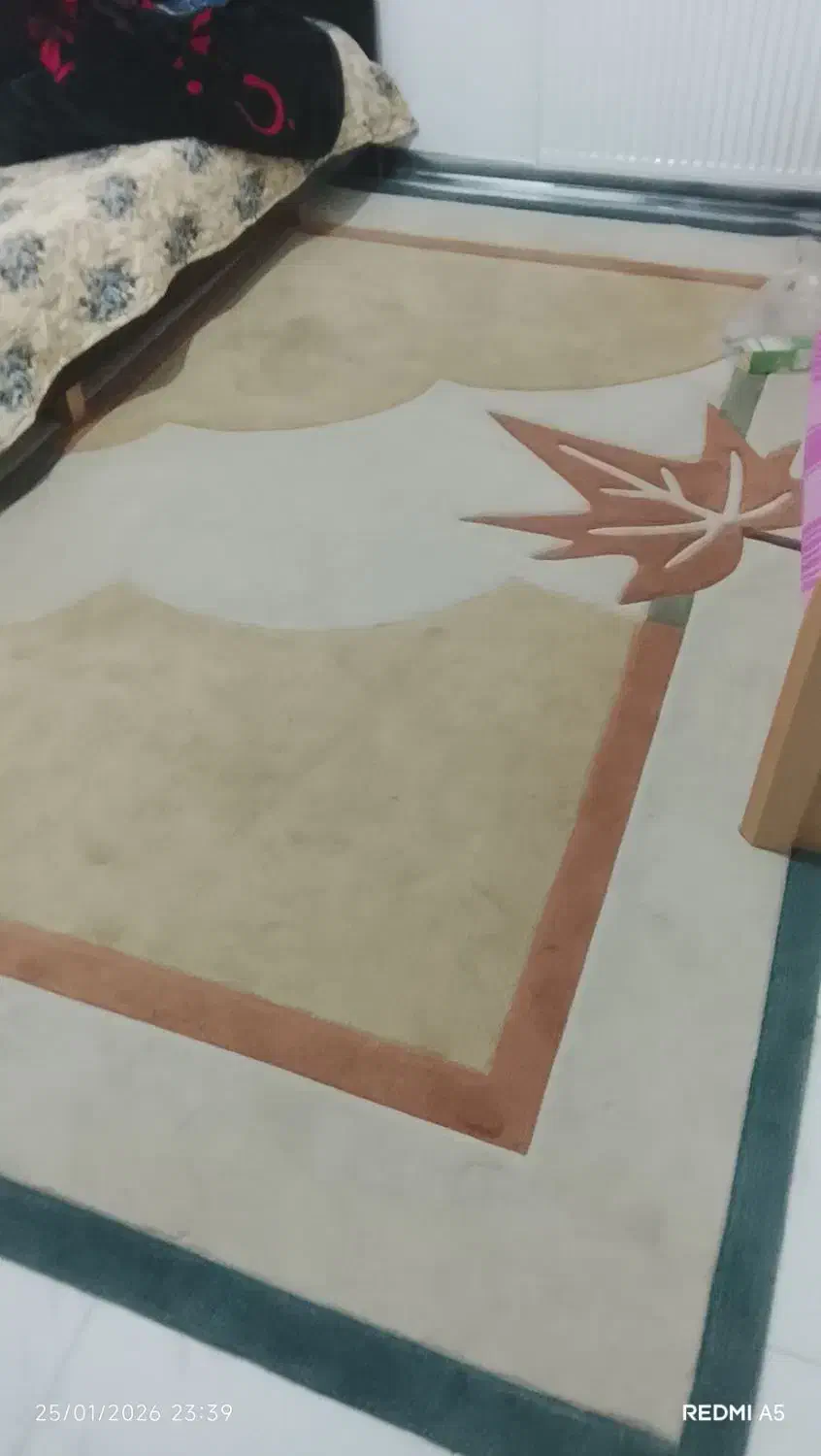 دو عدد فرش شش متری|فرش|پرند, فاز ۶|دیوار