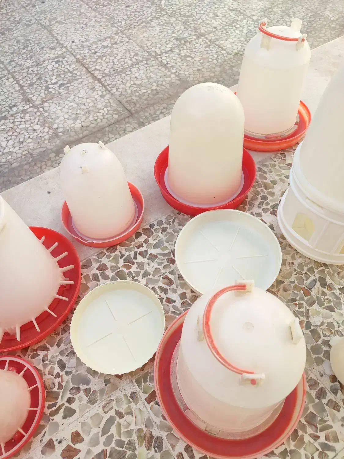 آبخوری مرغ|لوازم جانبی حیوانات|کازرون, |دیوار