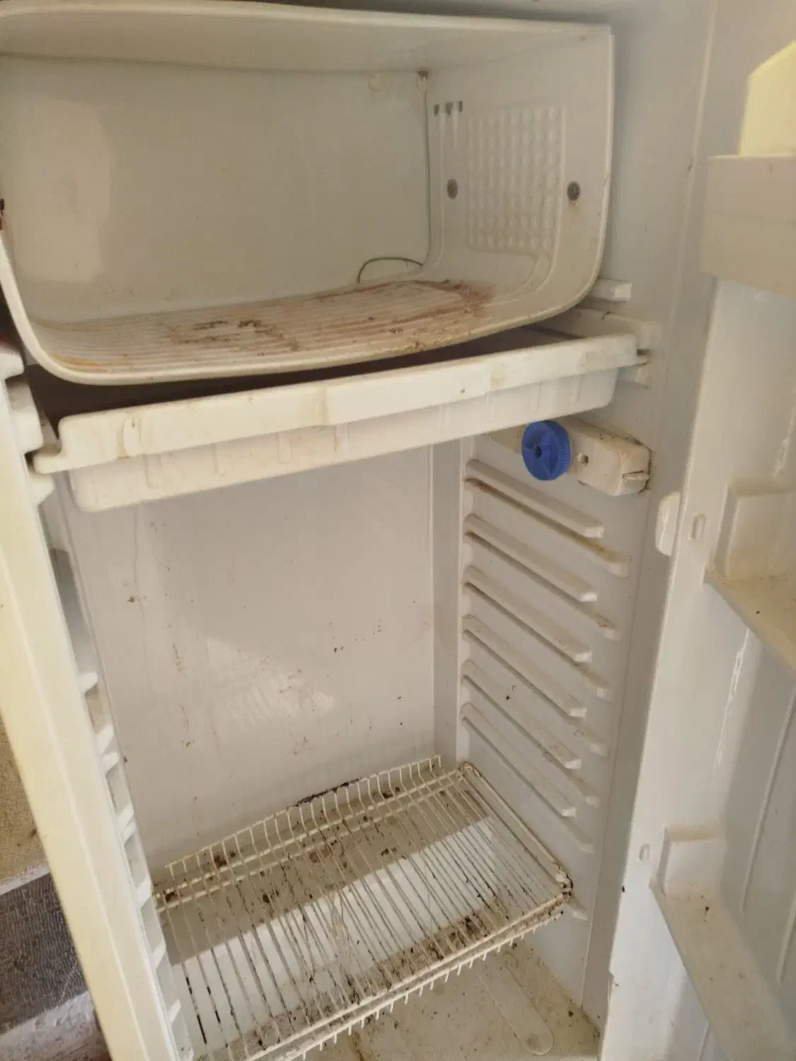 یخچال پارس|یخچال و فریزر|کرمان, |دیوار