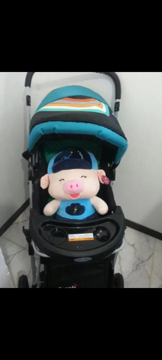 کالسکه دلیجان|کالسکه و لوازم جانبی|همدان, |دیوار