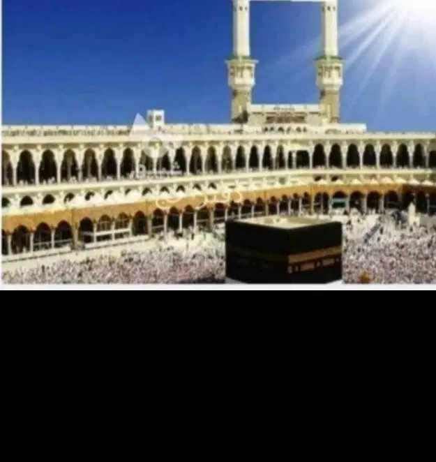 فروشنده 4فقره فیش حج تمتع با تضمین اعزامی ذی الحج|تور و چارتر|تهران, دکتر هوشیار|دیوار