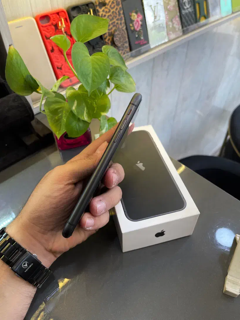 آیفون 11 مشکی|موبایل|یزد, |دیوار