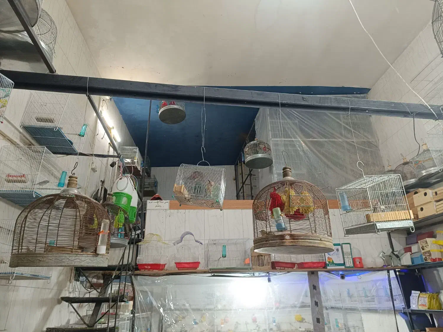 قفس سهره خاکی|لوازم جانبی حیوانات|شیراز, گل سرخ|دیوار