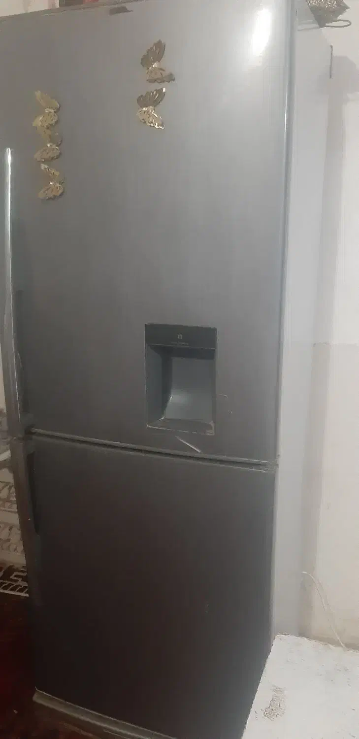 تعمیرات یخچالهای بدون برفک|خدمات پیشه و مهارت|بم, |دیوار