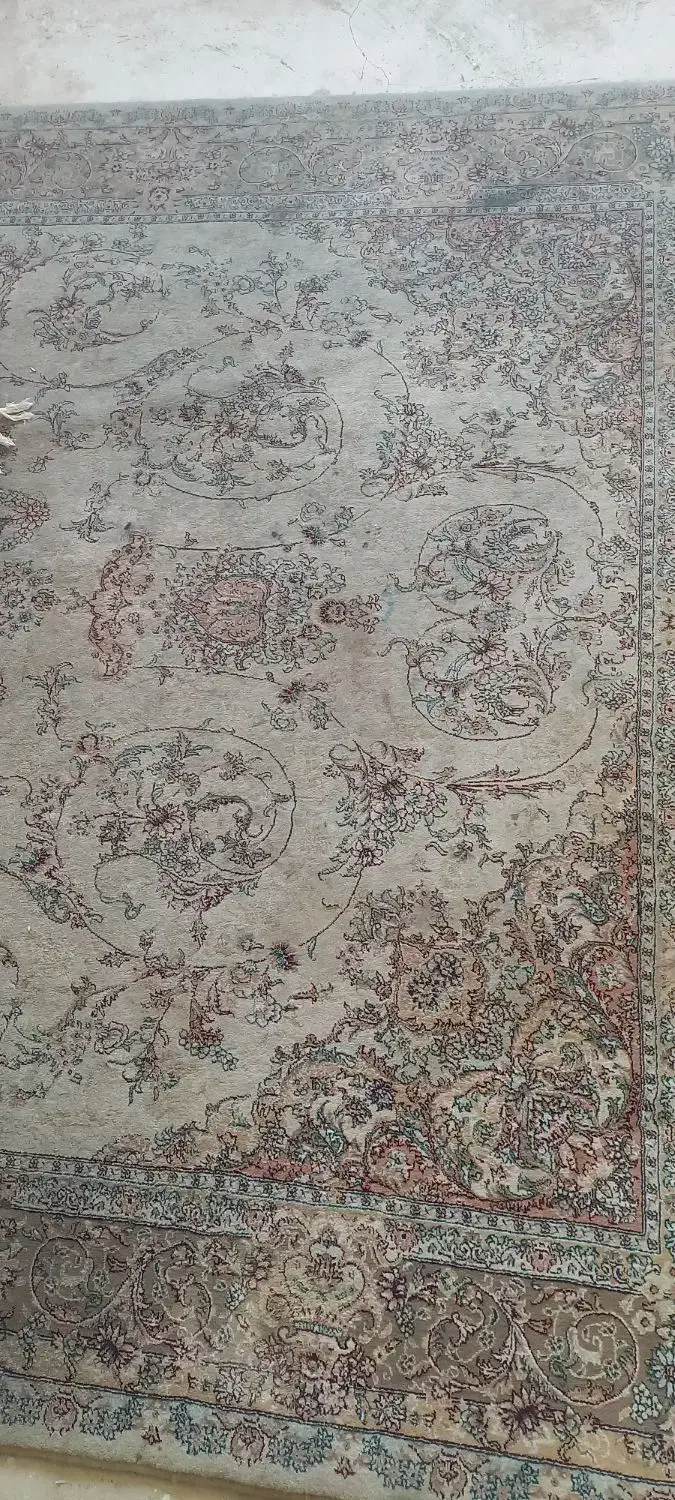 فرش 6متر|فرش|مراغه, |دیوار