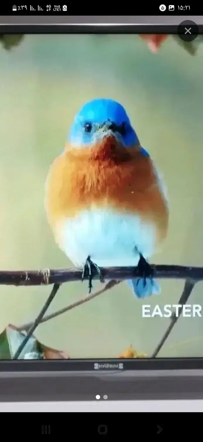 0937.137.66.68|سیم‌کارت|مشهد, عامل|دیوار