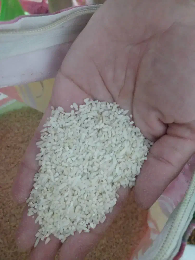 نیمدانه هاشمی نیمه دودی آستانه اشرفیه|خوردنی و آشامیدنی|رشت, خرسندی|دیوار