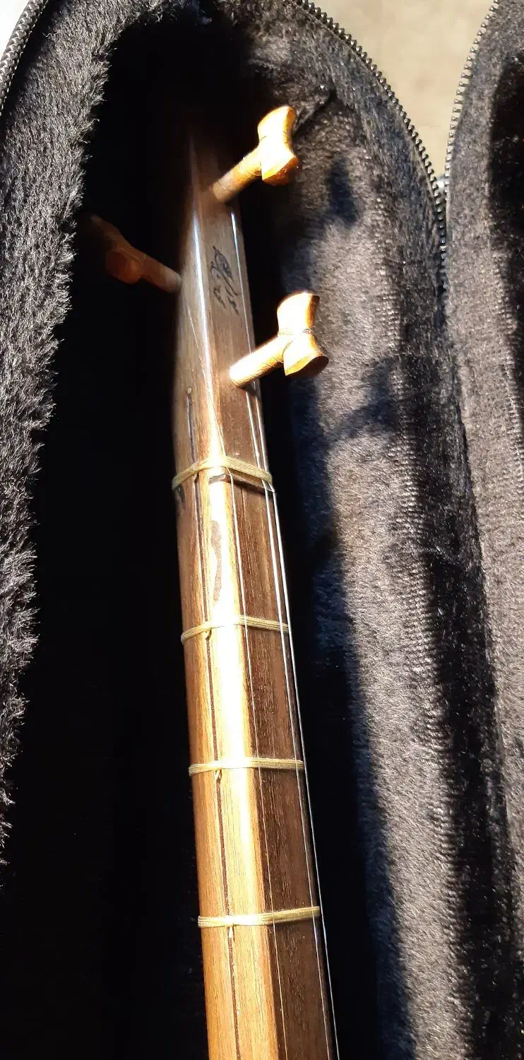 تنبور یک‌کاسه کرمانشاه|سازهای سنتی|تهران, ارامنه|دیوار