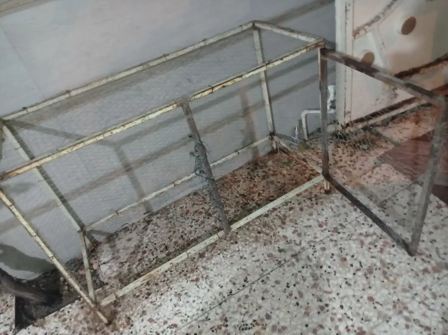 قفس پرنده|لوازم جانبی حیوانات|مینودشت, |دیوار