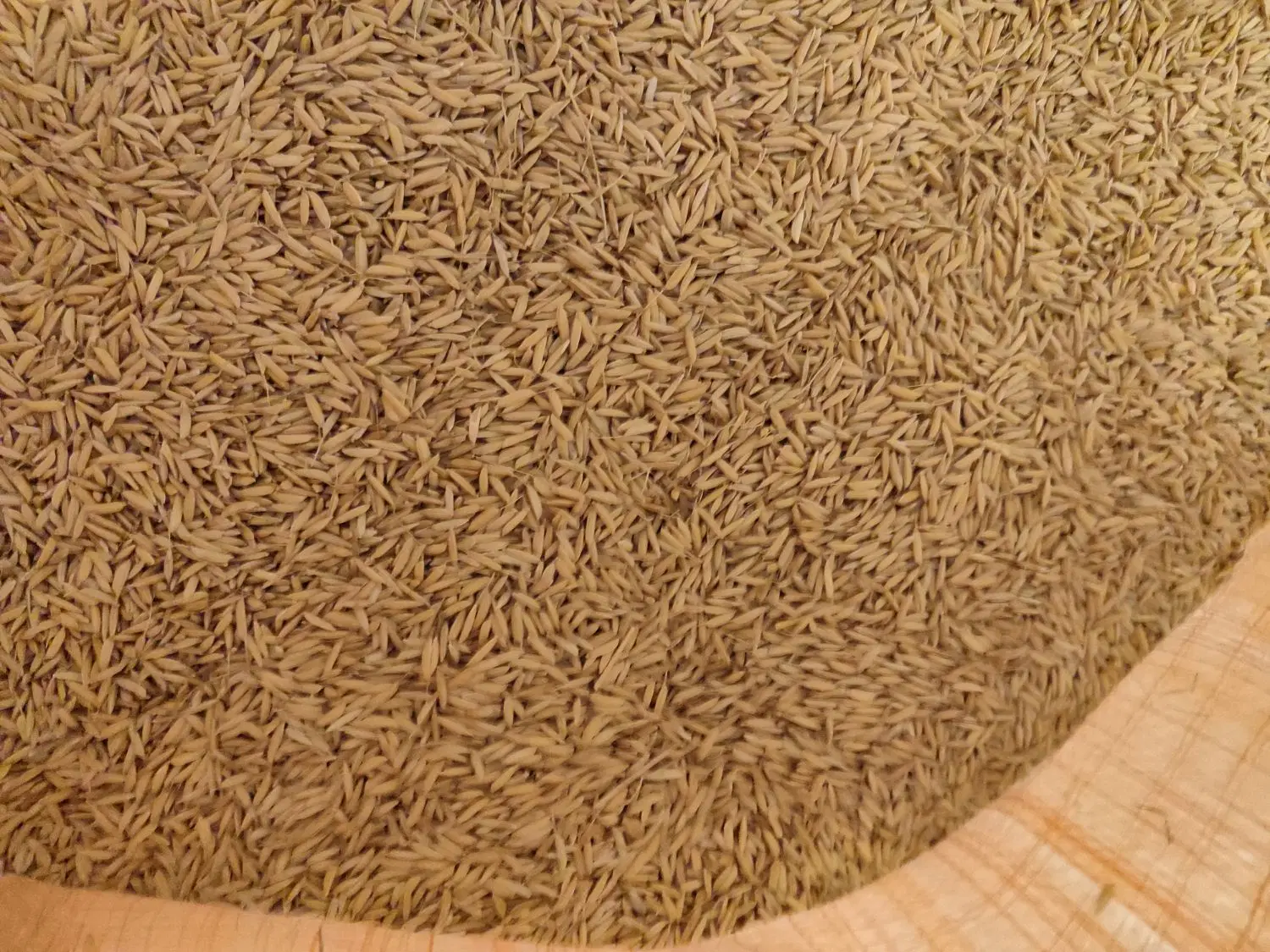 جو هاشمی|خوردنی و آشامیدنی|لاهیجان, شقایق|دیوار