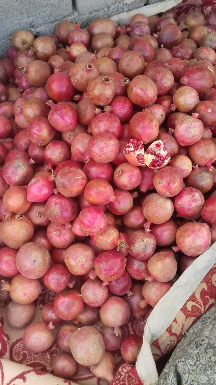 انار فردوس|خوردنی و آشامیدنی|اسلامیه, |دیوار