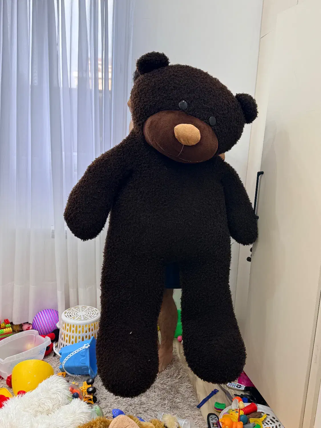 خرس ۱/۵|اسباب‌‌بازی|رشت, کاکتوس|دیوار