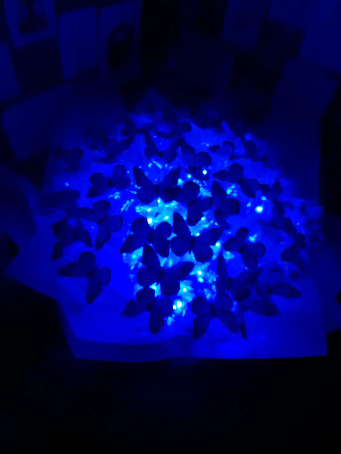 دسته گل پروانه|گل مصنوعی|خرم‌آباد, |دیوار