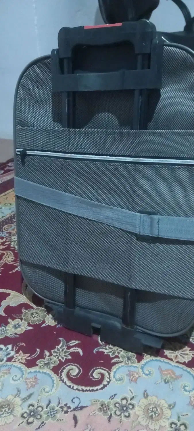 چمدان‌مسافرتی|کیف، کفش، کمربند|کرمان, |دیوار