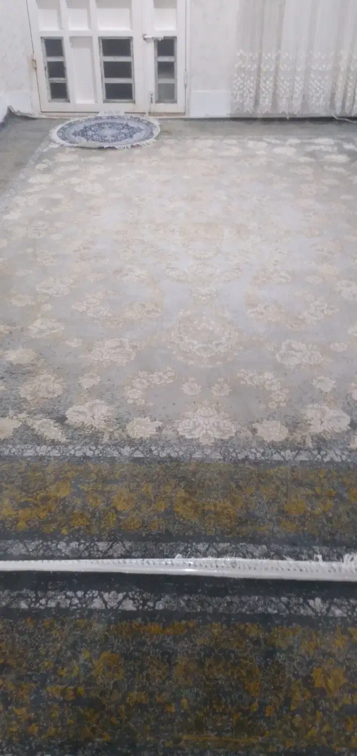 فرش|فرش|دورود, |دیوار