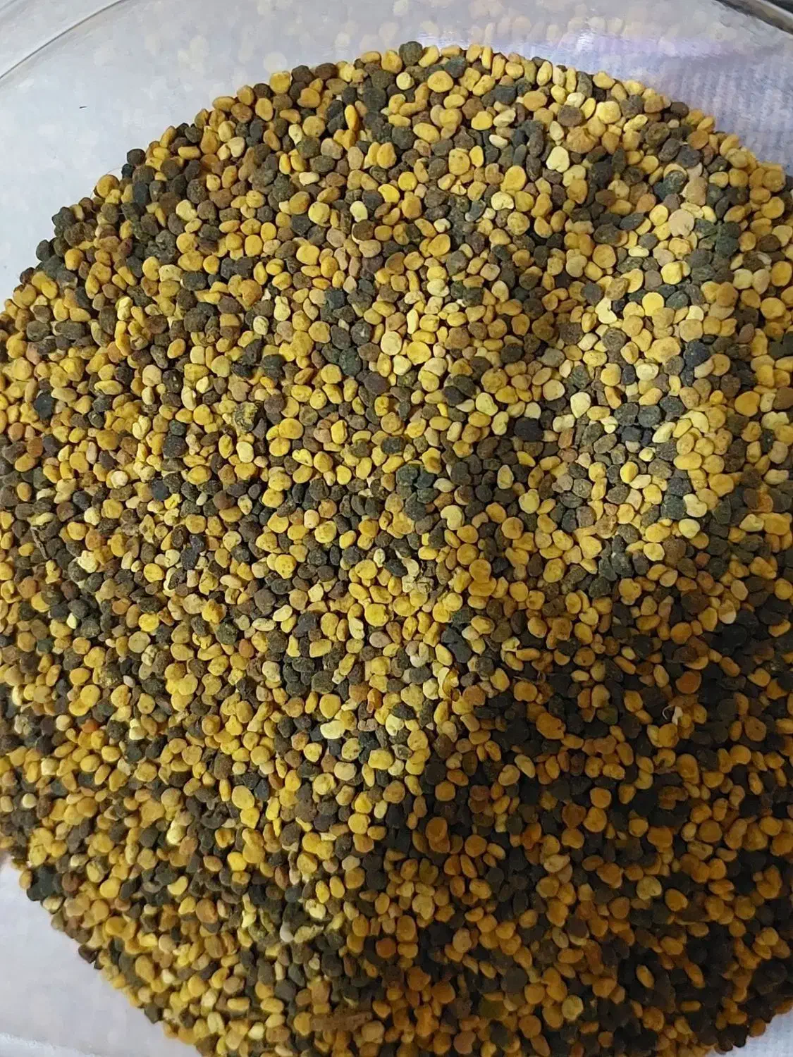 عسل|خوردنی و آشامیدنی|مهران (ایلام), |دیوار