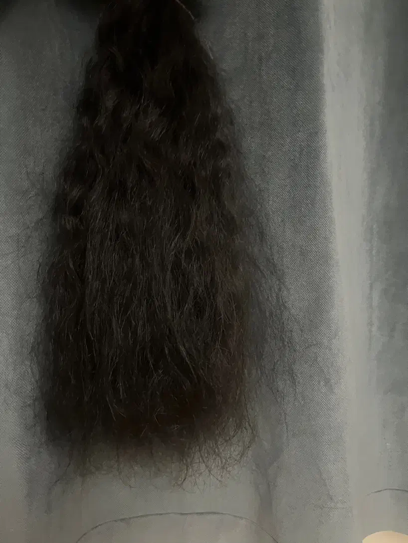 مو طبیعی ۵۵سانتی|آرایشی، بهداشتی، درمانی|کرج, شهرک دریا|دیوار