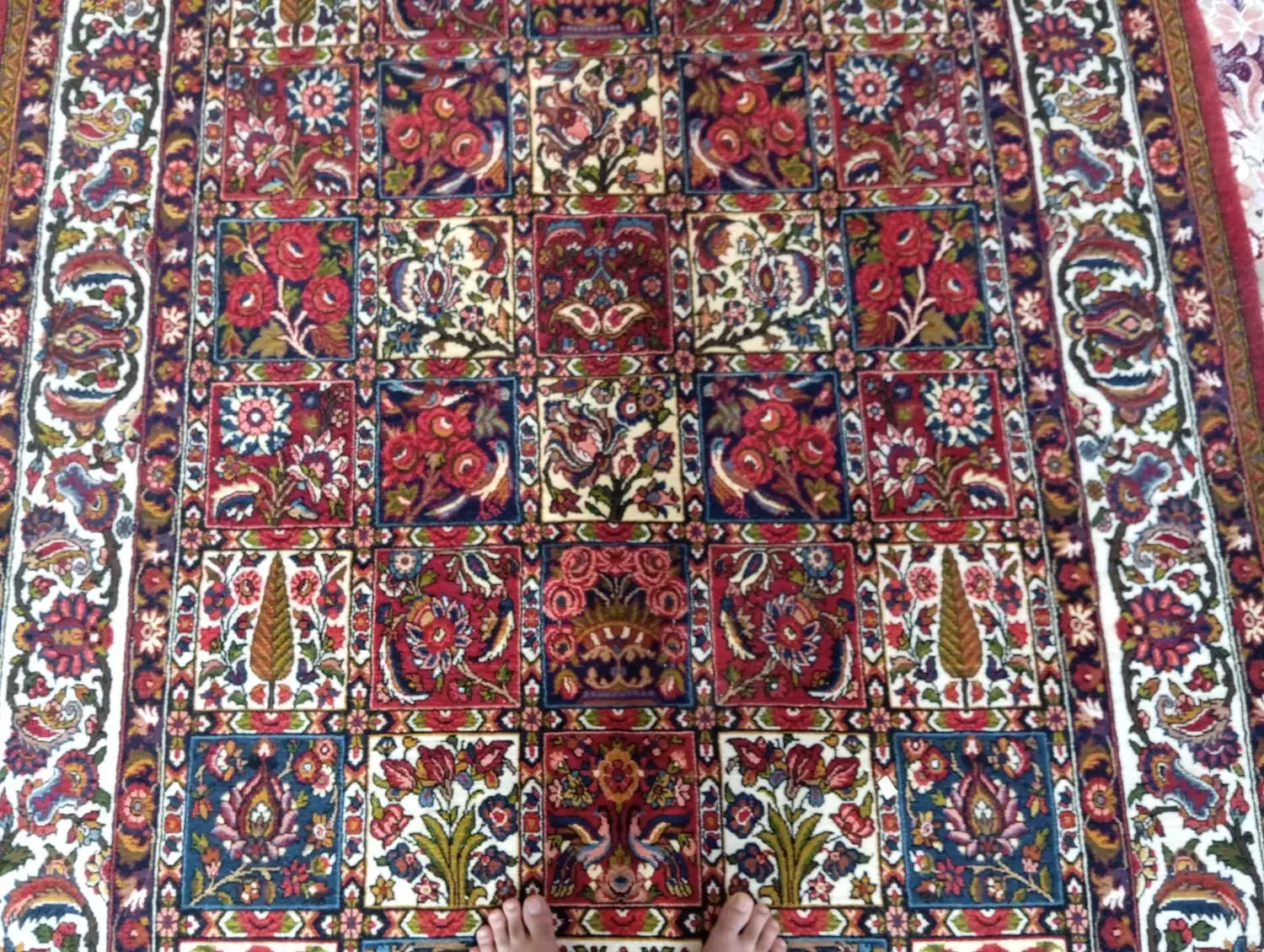 فوری|فرش|سامان, |دیوار