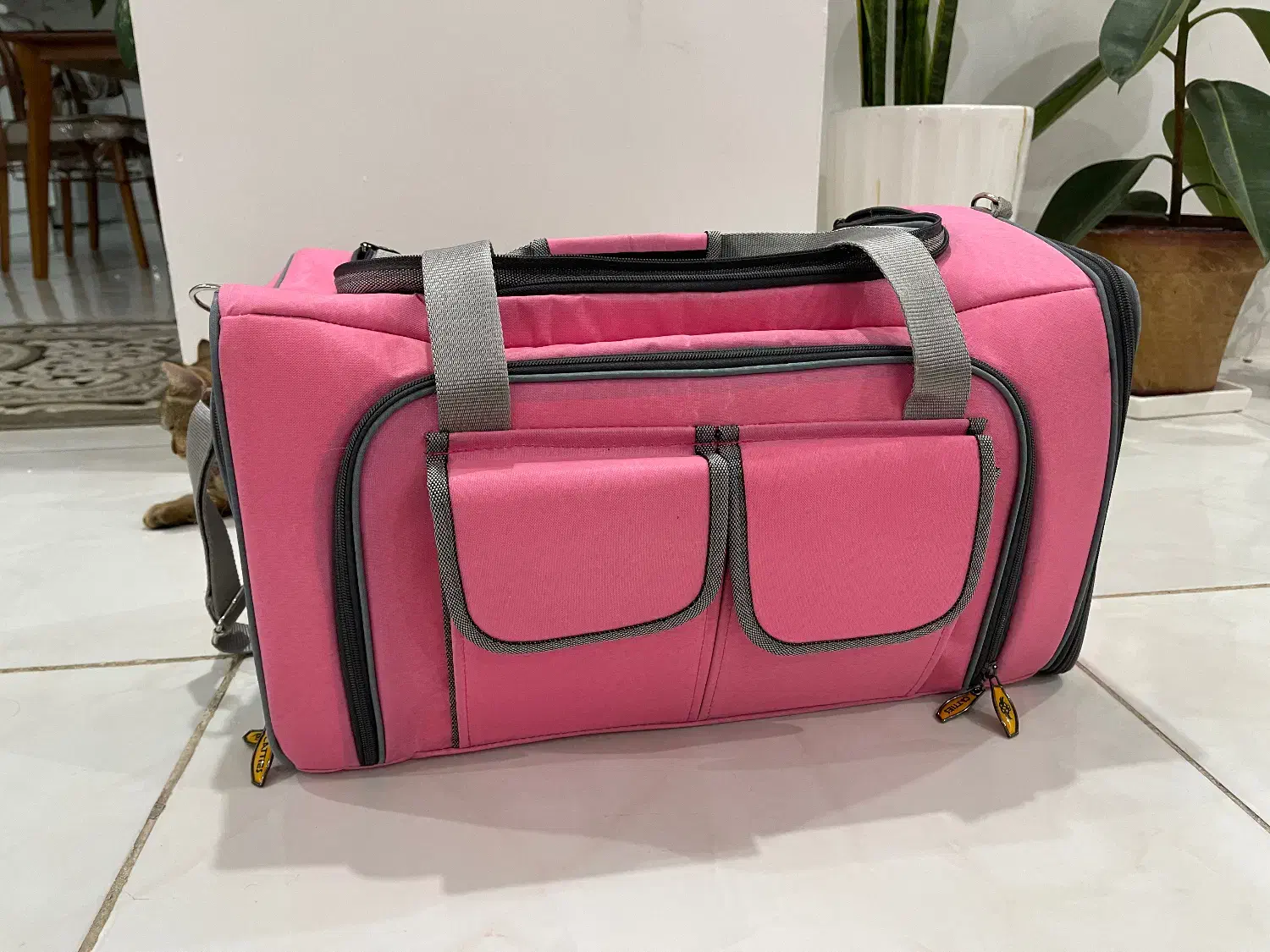 کیف گربه|لوازم جانبی حیوانات|بیرجند, |دیوار