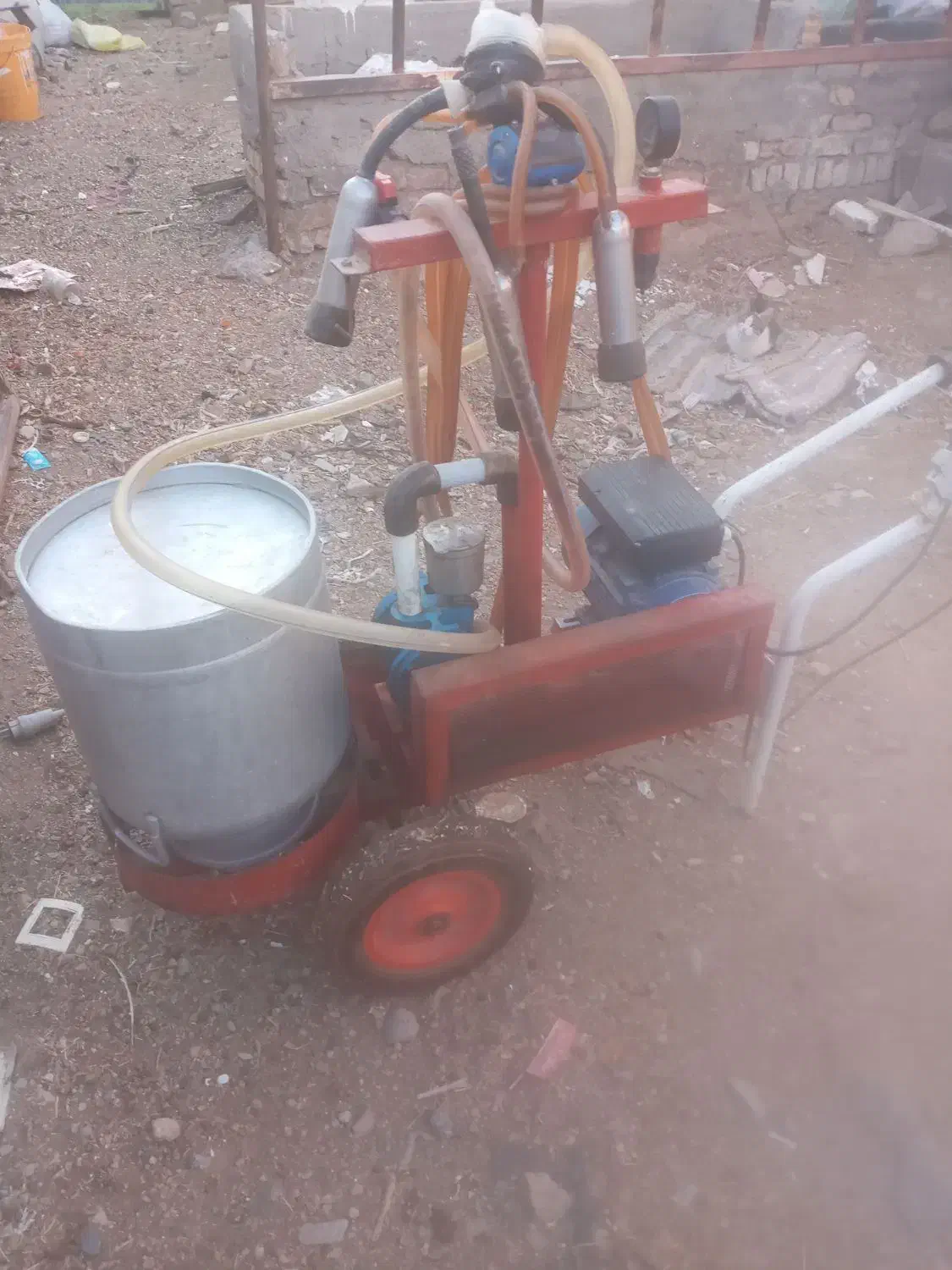 شیردوش|لوازم جانبی حیوانات|قائن, |دیوار