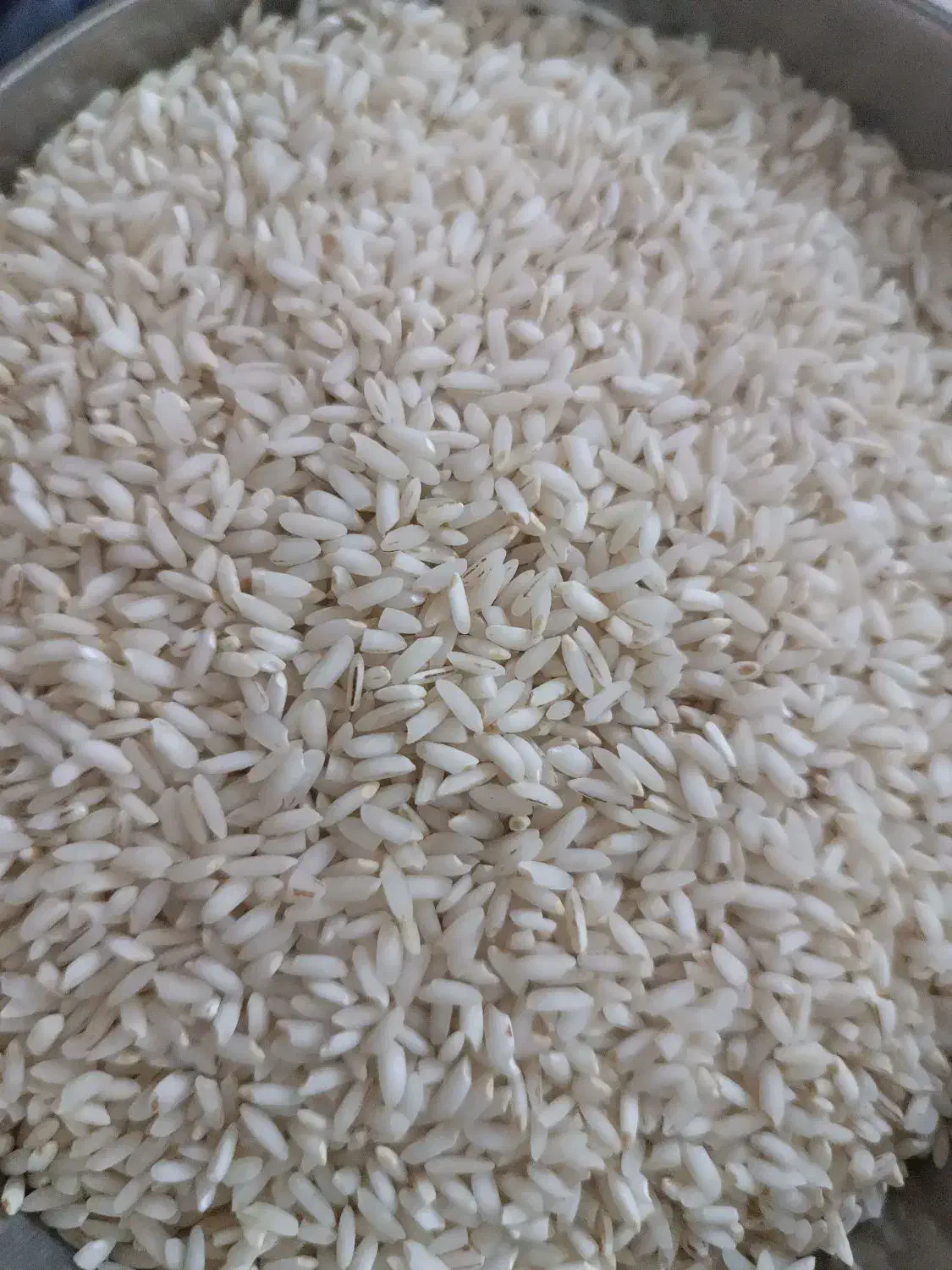 برنج عنبر بوی خوزستان|خوردنی و آشامیدنی|کوهدشت, |دیوار