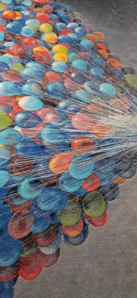 فرش وصندلی|فرش|بندر انزلی, معلم|دیوار