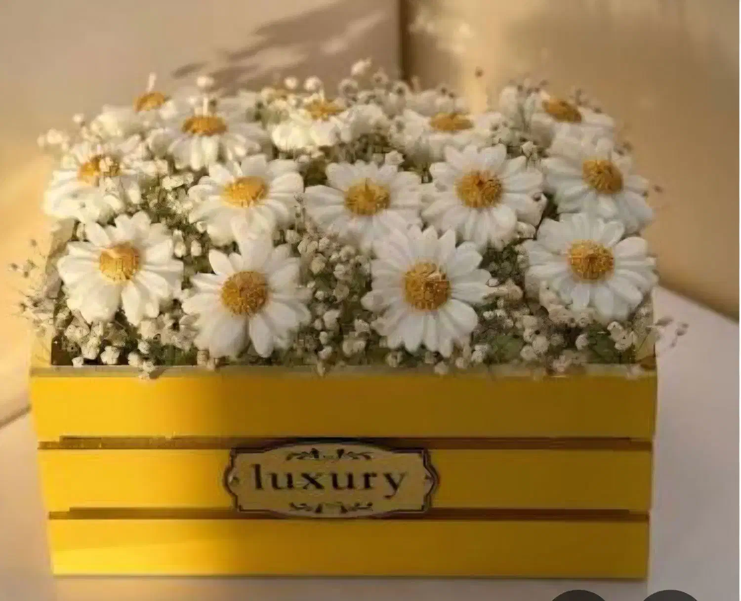 شمع تزیینی|خدمات پذیرایی، مراسم|سنندج, |دیوار