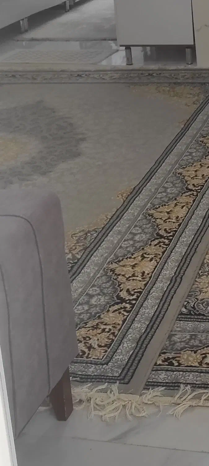 قالی دوازده متری|فرش|بجنورد, |دیوار