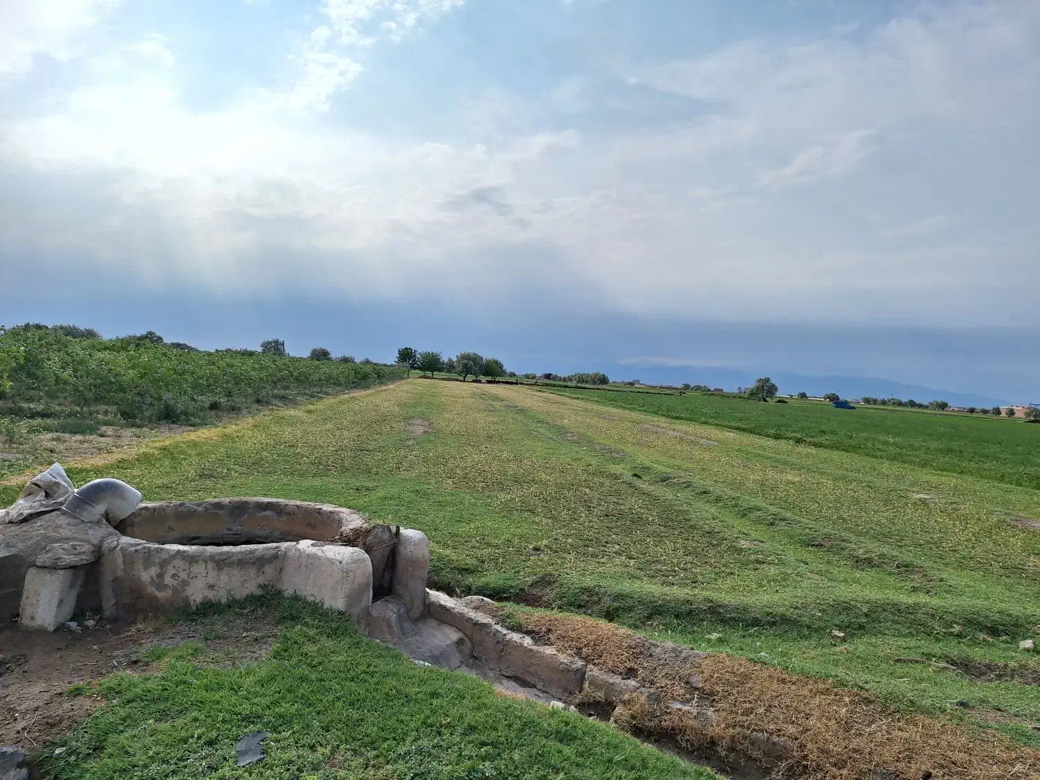 ویلایی . کارگاهی .گلخانه ای و غیره|فروش زمین و ملک کلنگی|خسروشاه, |دیوار